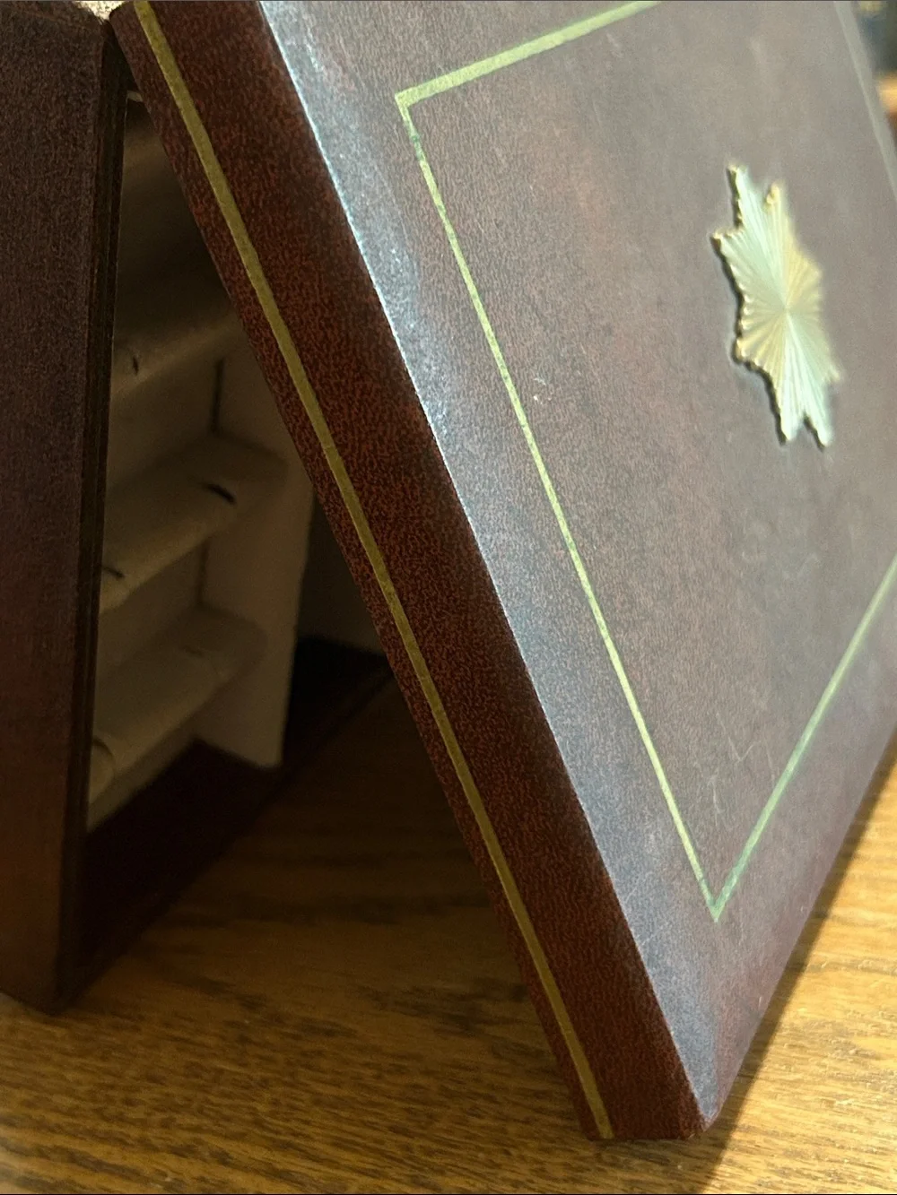 SWANK Brown and Cream Velvet-Lined Jewelry Organizer